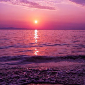 Meet your Posher, Ariel